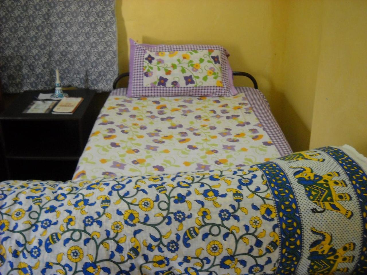 Nadya Homestay For Female & Family ジャイプール エクステリア 写真