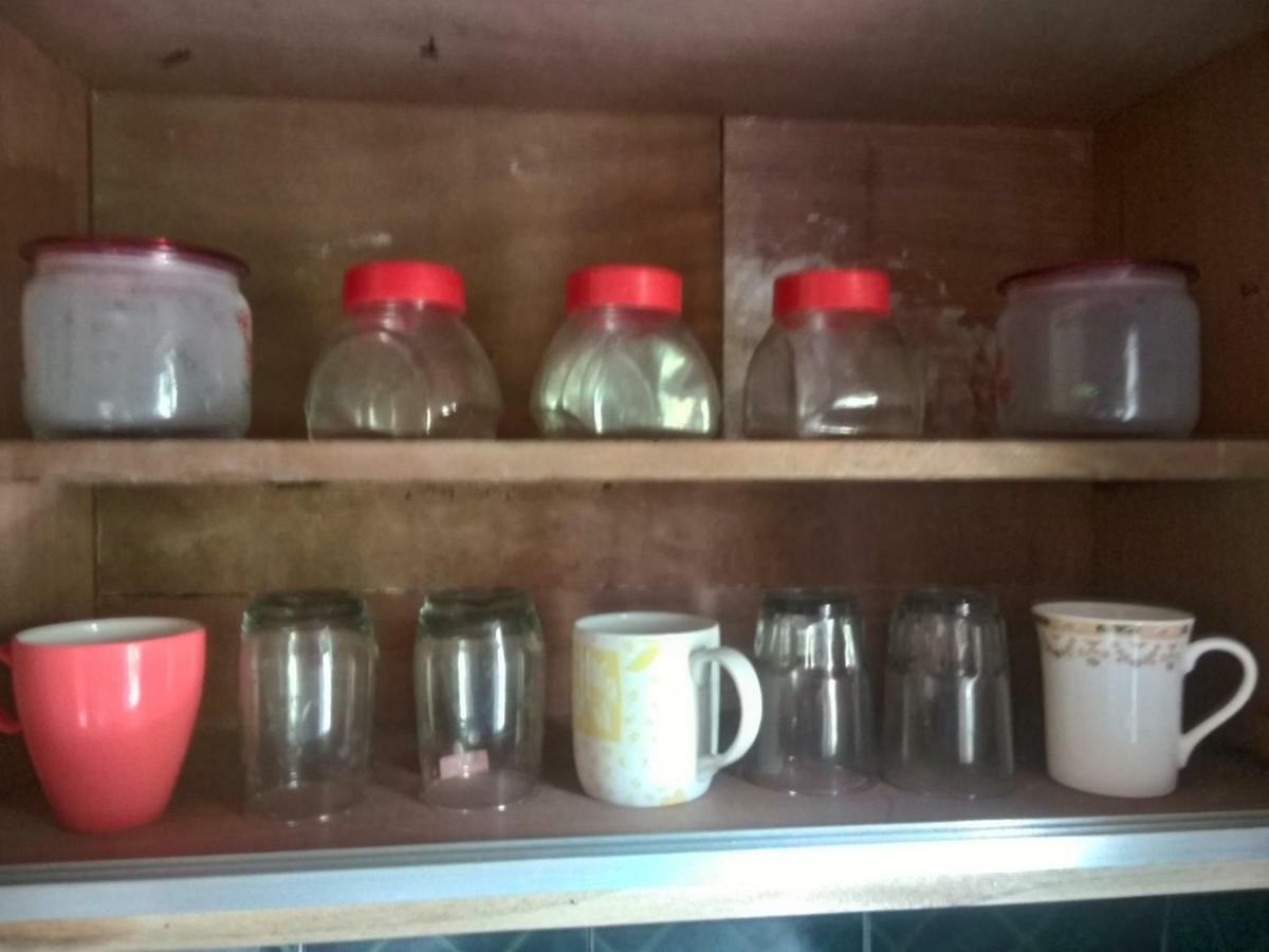 Nadya Homestay For Female & Family ジャイプール エクステリア 写真
