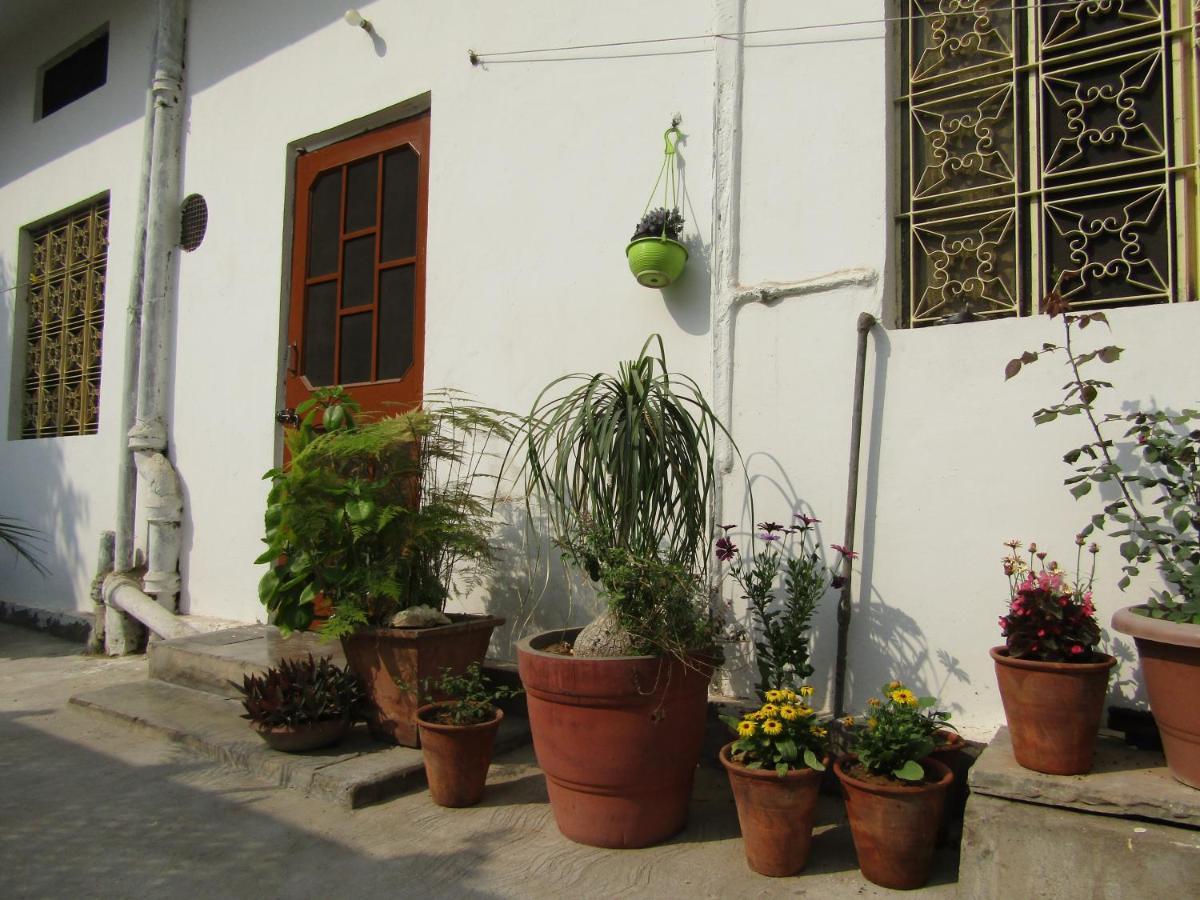 Nadya Homestay For Female & Family ジャイプール エクステリア 写真